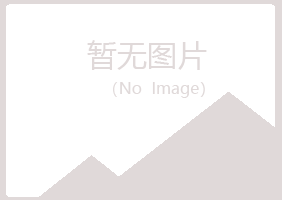 青海字迹化学有限公司